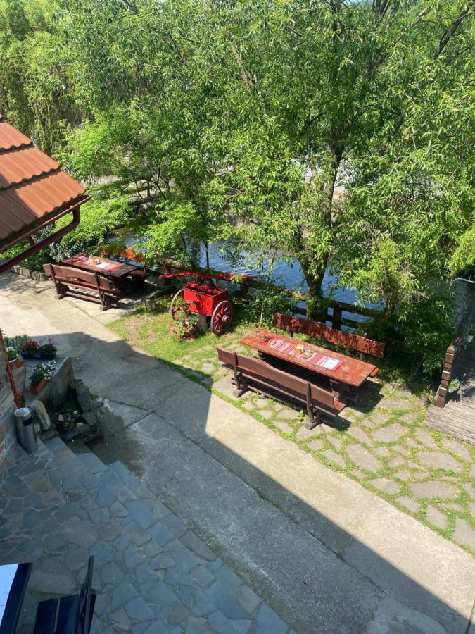 Pensiune Pastravarie La Pintea Haiducu Desesti Bagian luar foto