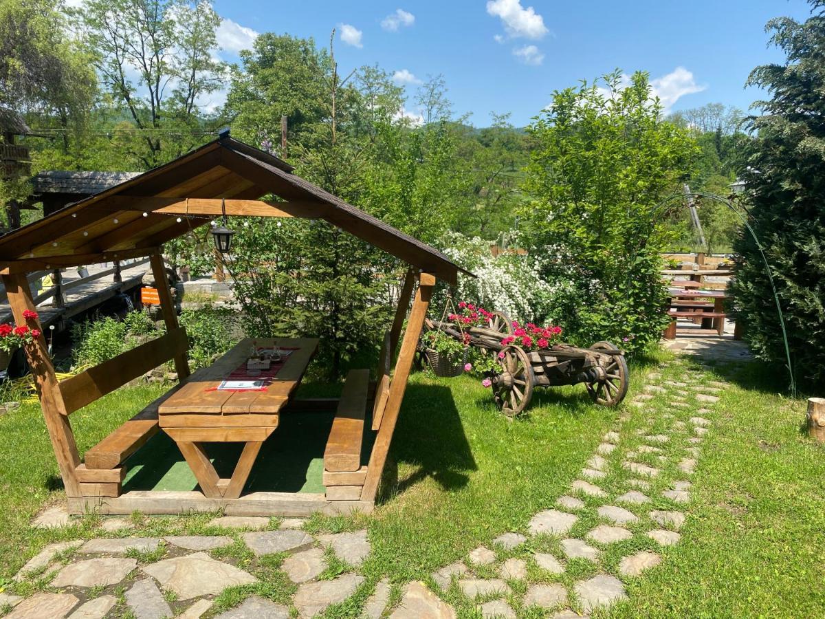 Pensiune Pastravarie La Pintea Haiducu Desesti Bagian luar foto