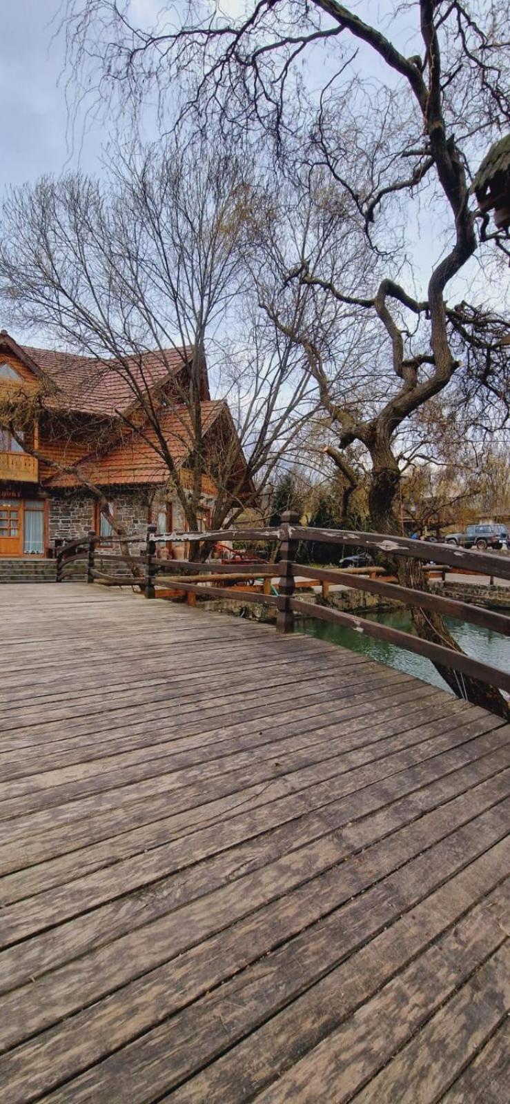 Pensiune Pastravarie La Pintea Haiducu Desesti Bagian luar foto