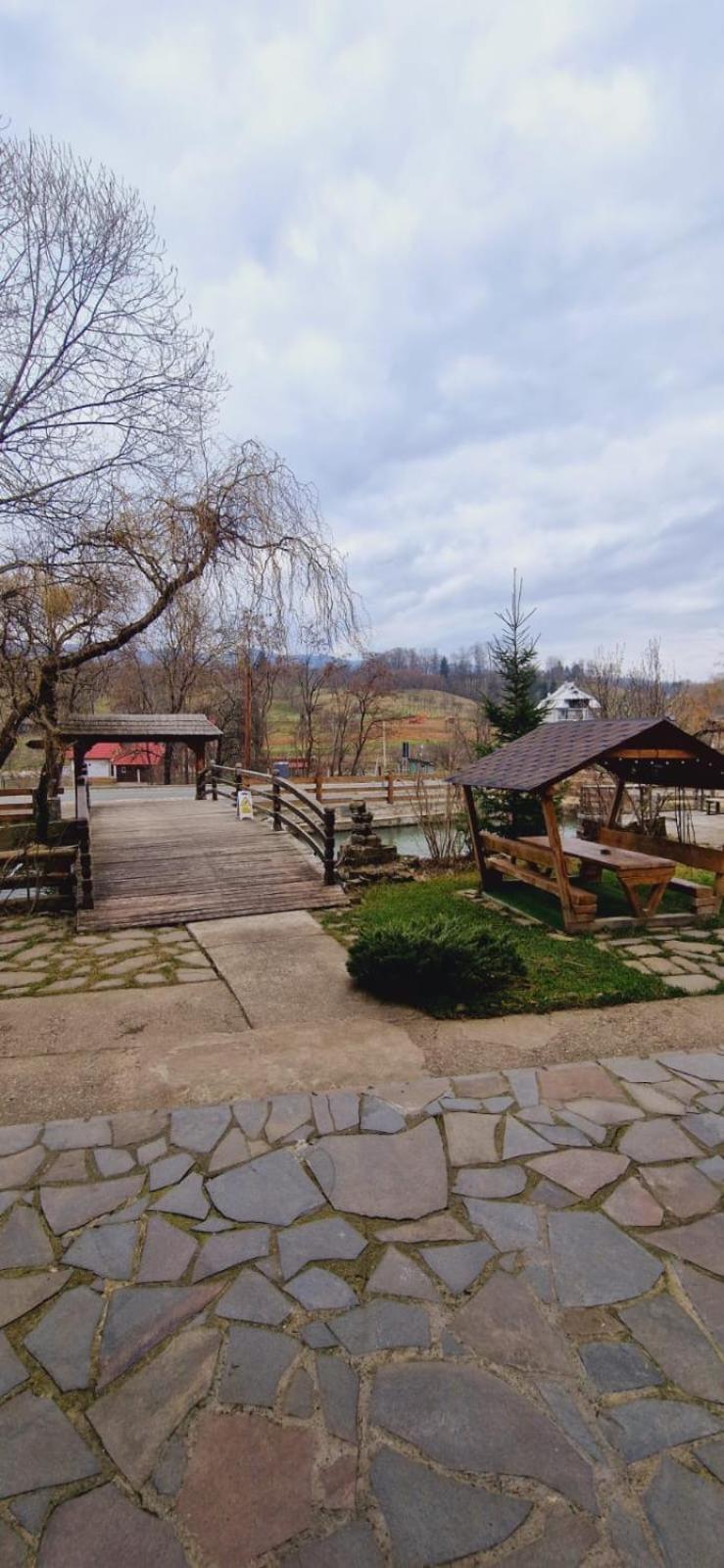 Pensiune Pastravarie La Pintea Haiducu Desesti Bagian luar foto