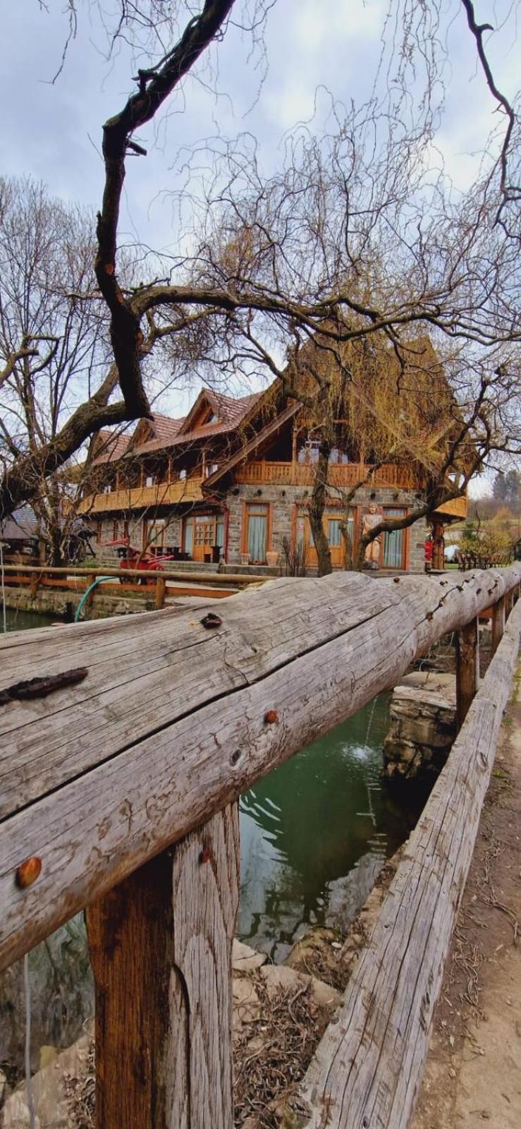 Pensiune Pastravarie La Pintea Haiducu Desesti Bagian luar foto