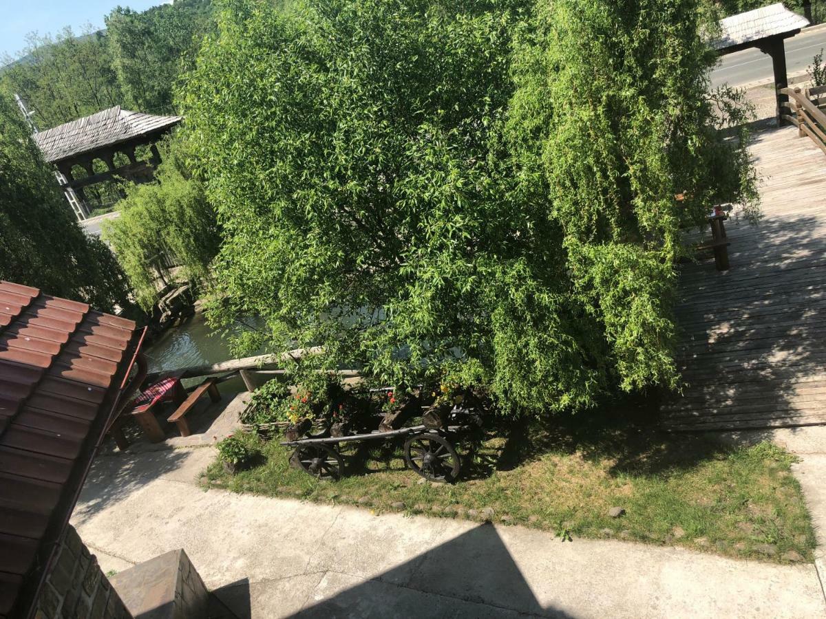 Pensiune Pastravarie La Pintea Haiducu Desesti Bagian luar foto