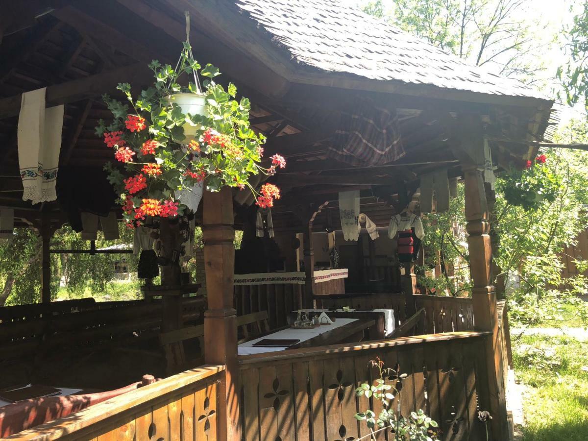 Pensiune Pastravarie La Pintea Haiducu Desesti Bagian luar foto
